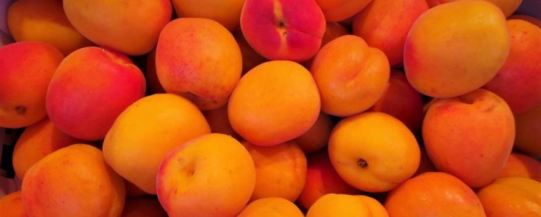 Abricots © Youngki Son de Pixabay
