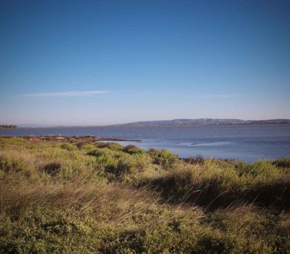 Lagune de Sigean © C.Baudot / OT Grand Narbonne
