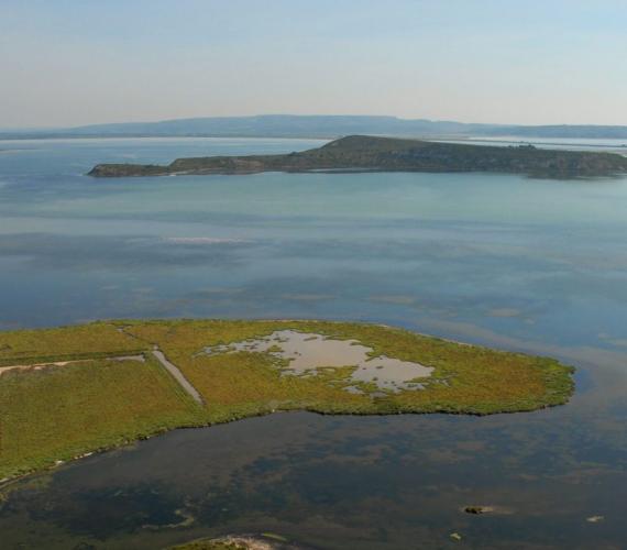 les îles sur l'étang de Sigean