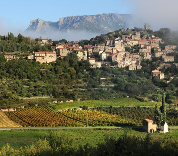 Minervois, Saint-Chinian, Faugères