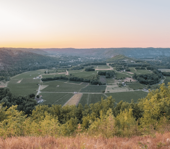 Vignoble de Cahors en Vallée du Lot