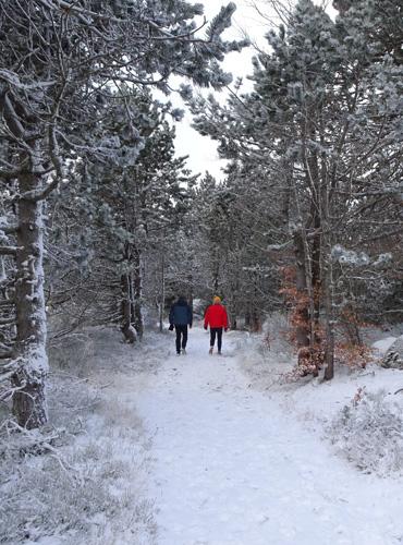 + nous = <3 + nous =