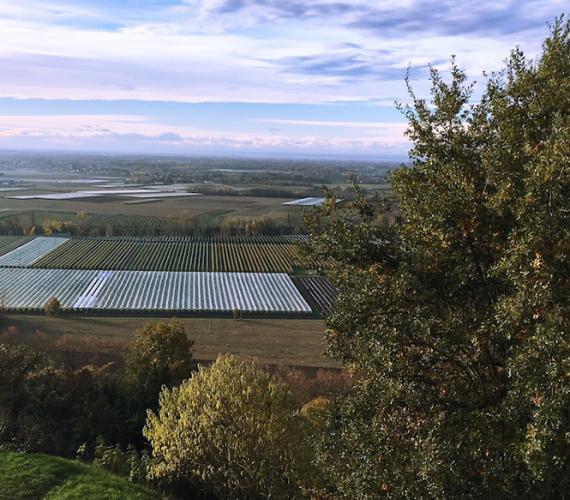 Point de vue Lafrançaise