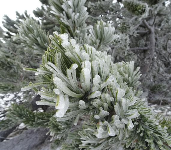 Lozère en hiver  Lozère + hiver