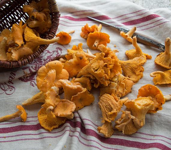 Ce soir, c'est omelette !