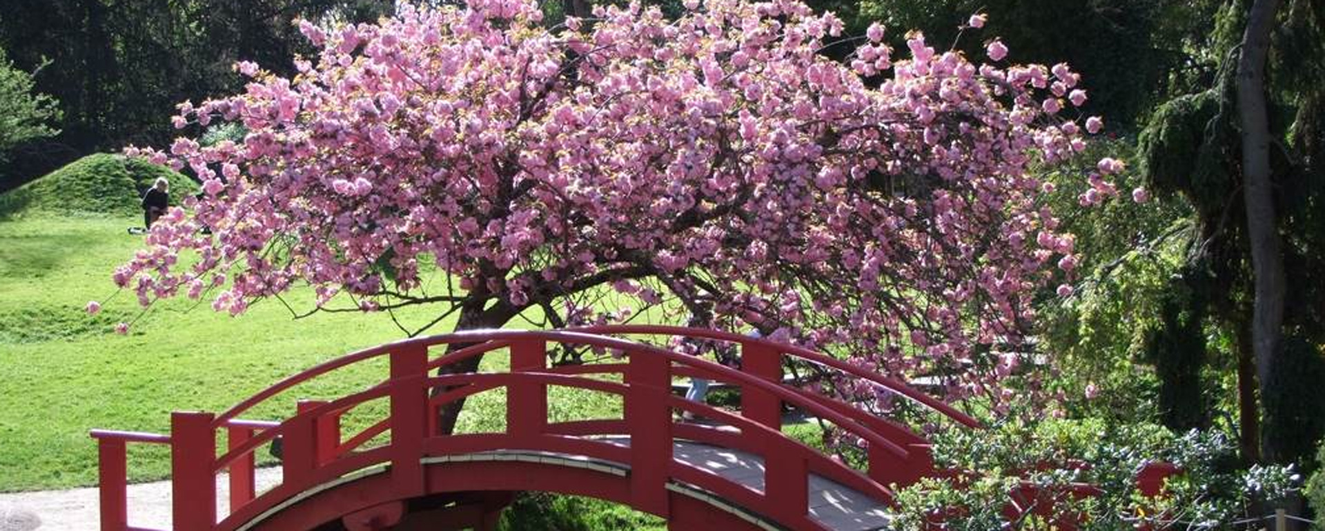 Jardin japonais Toulouse