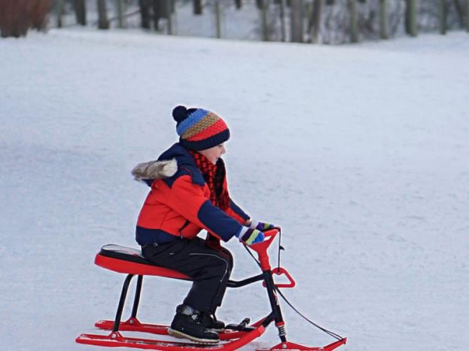 La luge rencontre toujours un franc succès ! La luge rencontre toujours un franc succès !