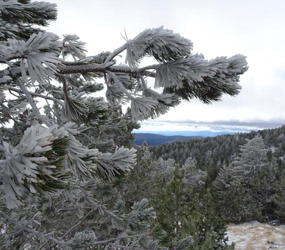 Un carcan de glace Un carcan de glace