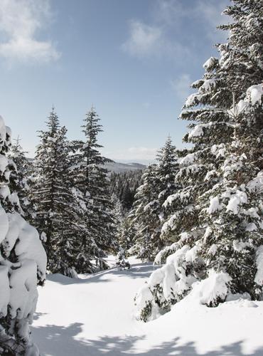 Un monde figé, presque irréel