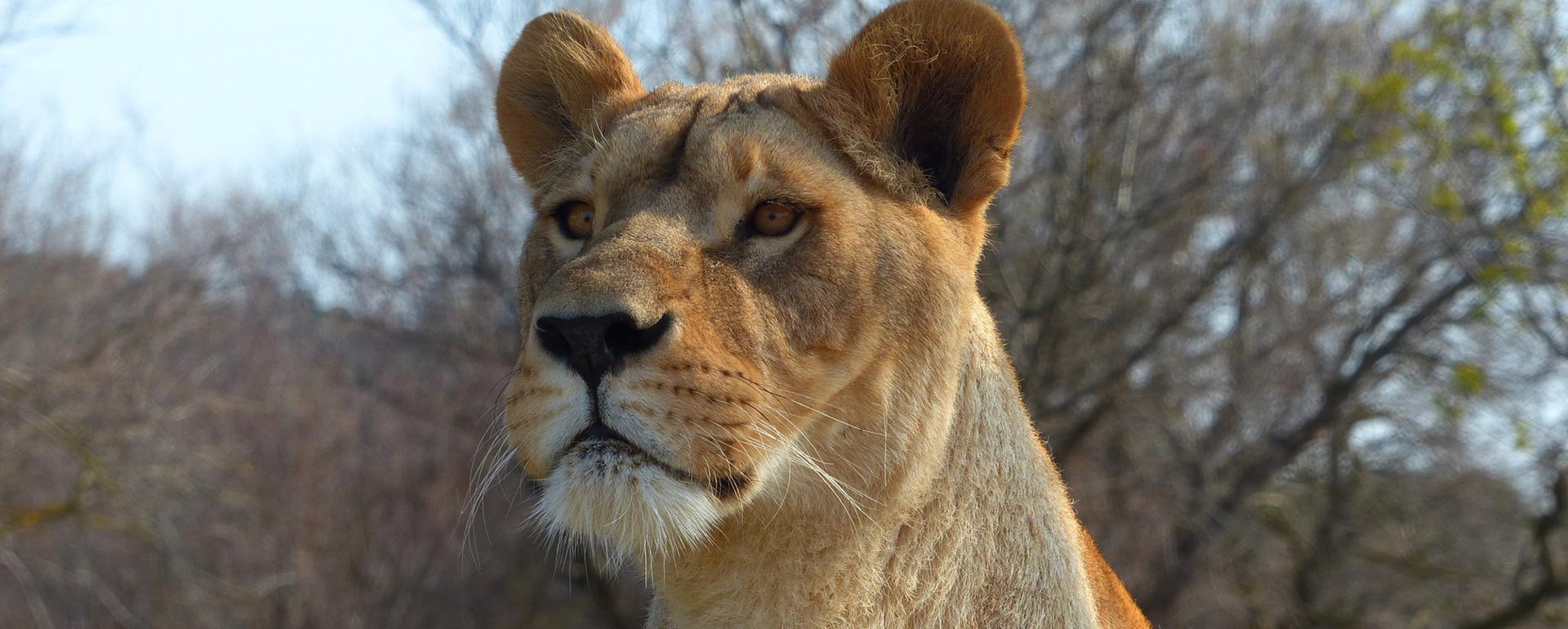 Réserve Africaine de Sigean - Aude