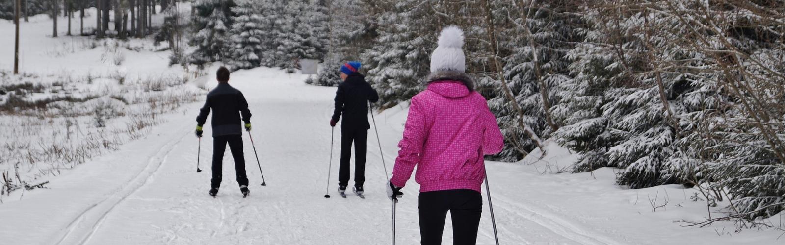 #purenature #ressourcement #masdelabarque #purenature #ressourcement #masdelabarque