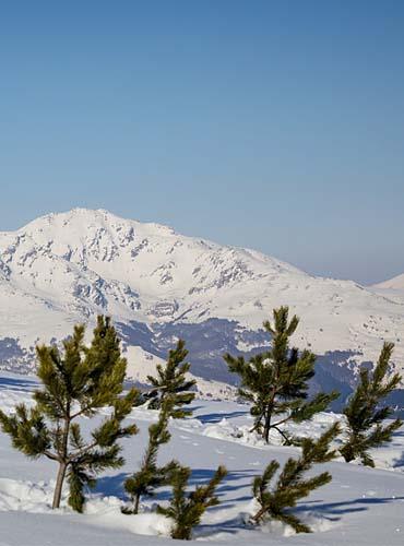 Vue depuis le plateau de Beille