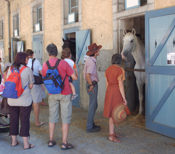 Haras de Tarbes - Hautes-Pyrénées