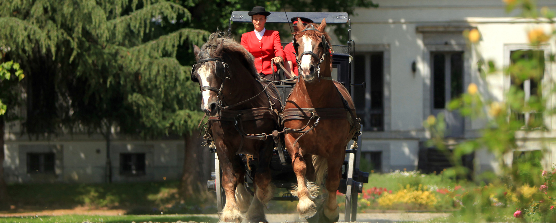 Haras de Tarbes - Hautes-Pyrénées