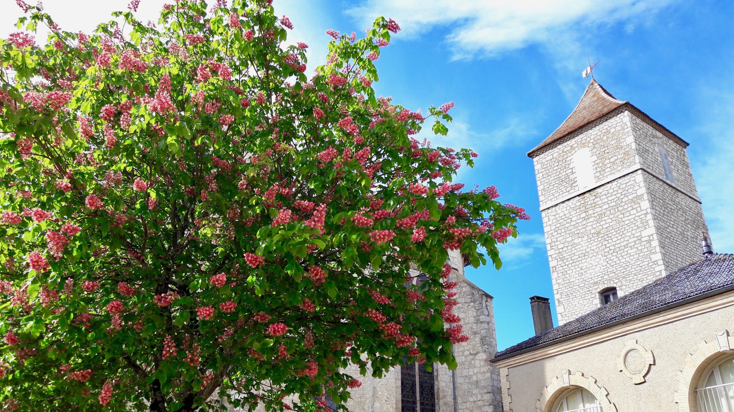 Lauzerte - Tarn-et-Garonne