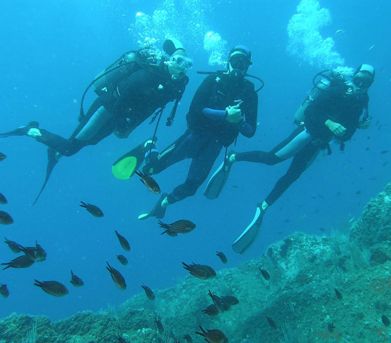Plongée sous-marine - Collioure - Pyrénées-Orientales