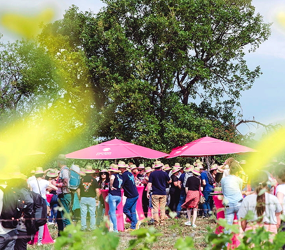 Fête AOC Costières de Nîmes - Gard