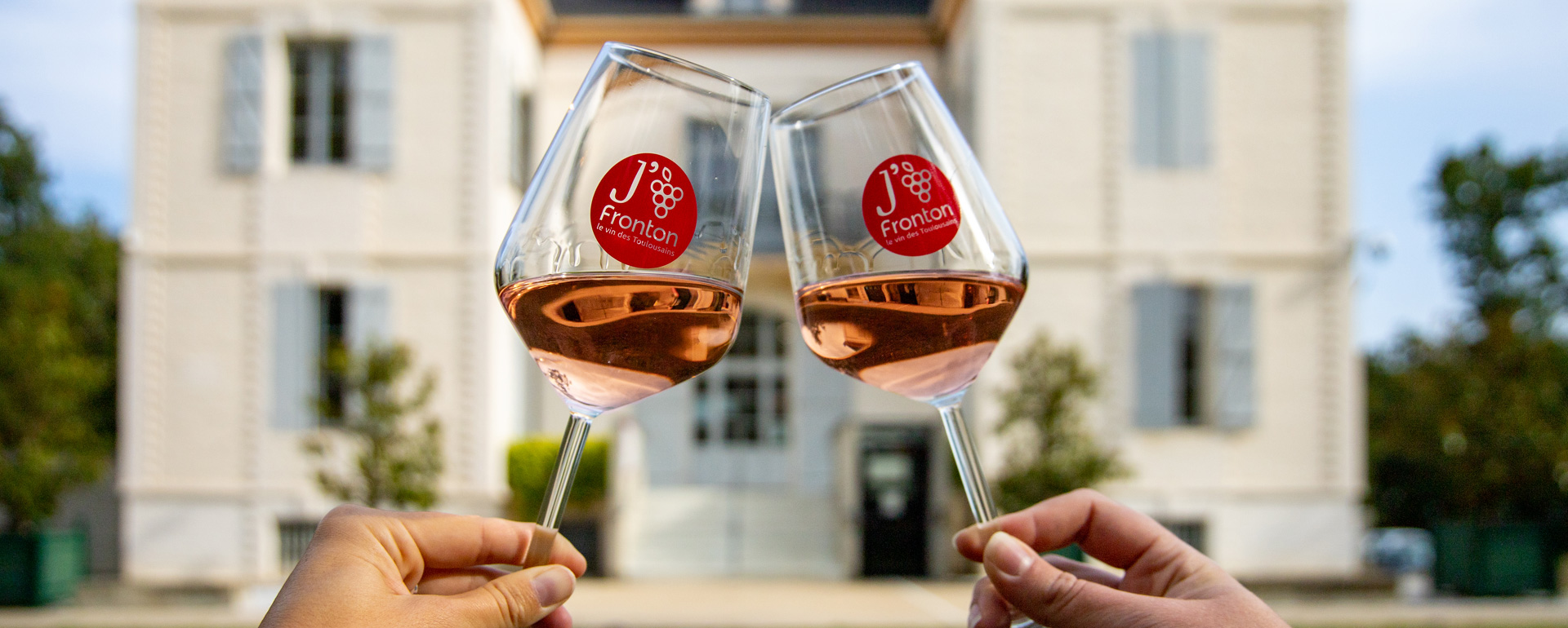 Vignobles du Sud-Ouest : Fronton Vignoble de Fronton - Haute-Garonne et Tarn-et-Garonne
