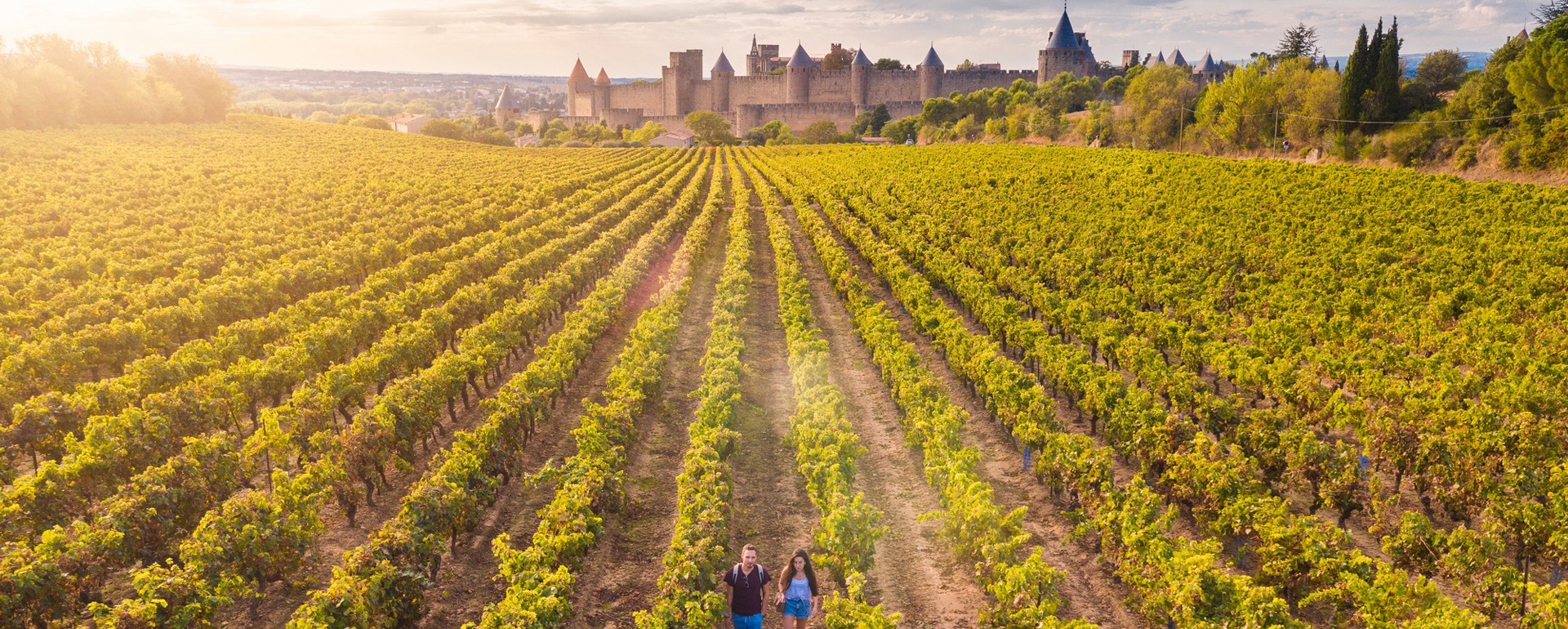 Vignobles autour de Carcassonne - Aude