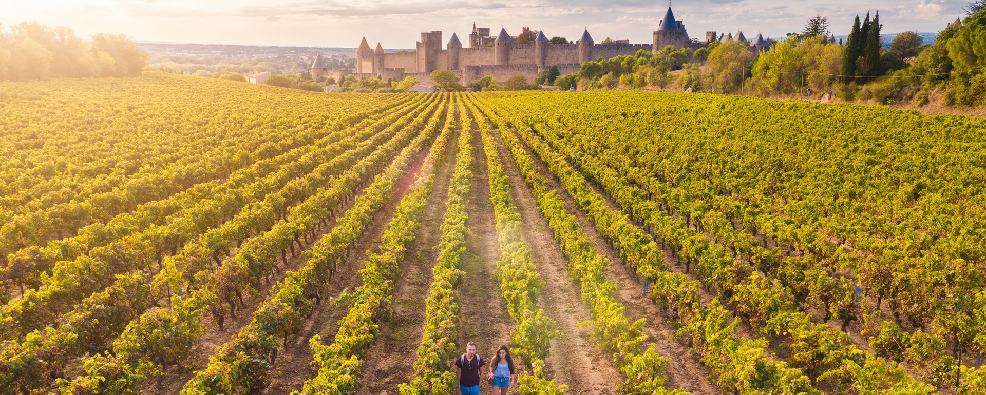 Vignobles autour de Carcassonne - Aude