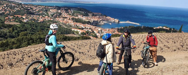 Vélo électrique dans les vignes - Collioure- Pyrénées-Orientales