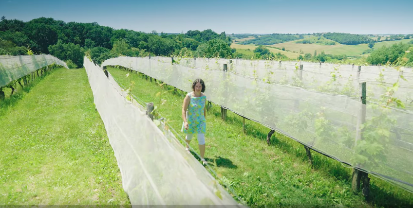 Vidéo Grand Site Occitanie Moissac Lauzerte Auvillar