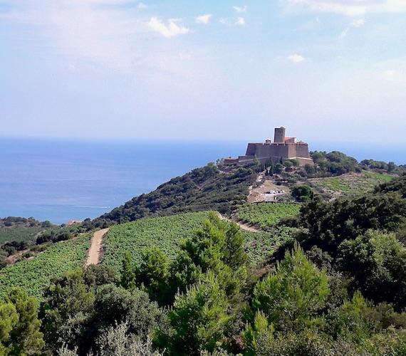 Fort Saint Elme Collioure © CRTL Occitanie