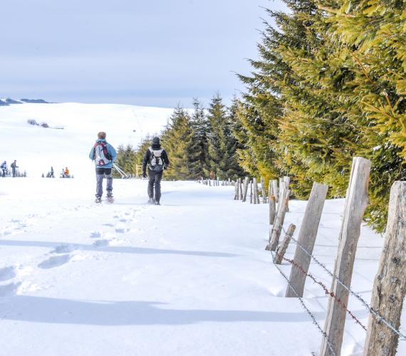 Raquettes sur l'Aubrac