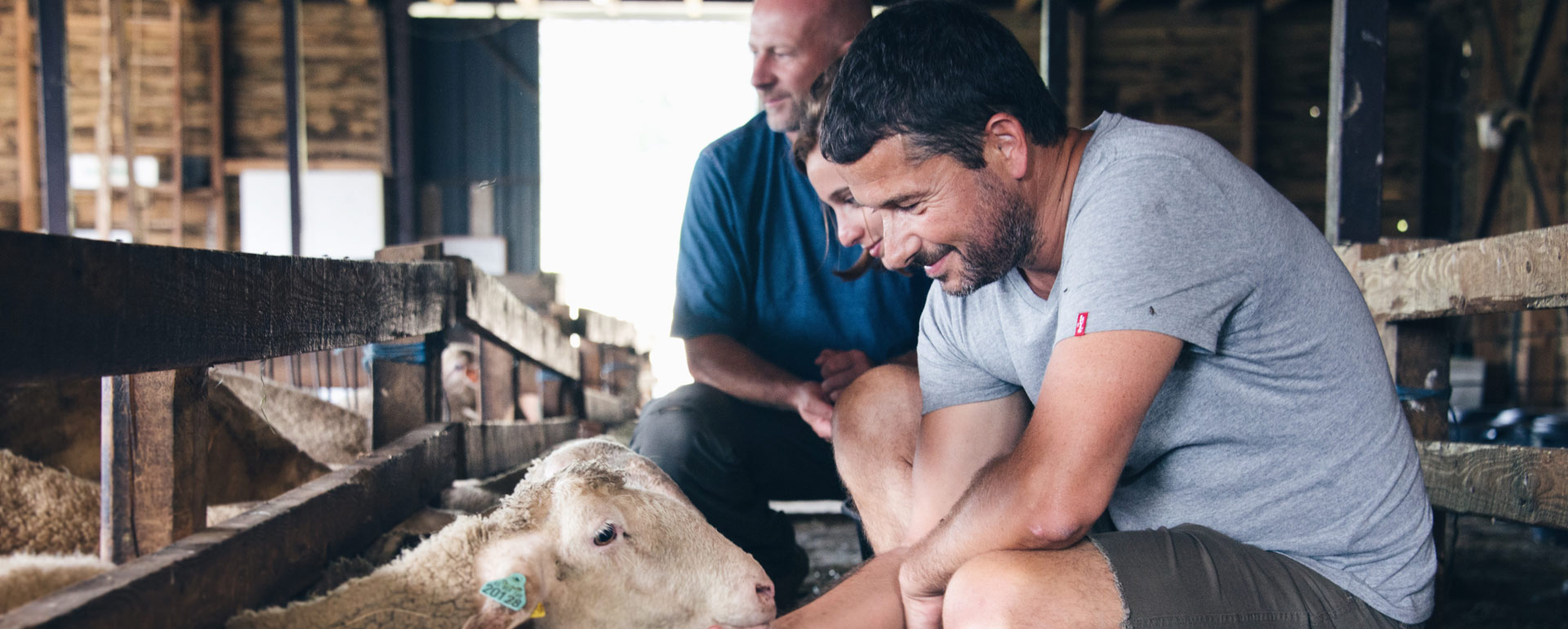 Bergerie Vie d'Estive - Hautes-Pyrénées
