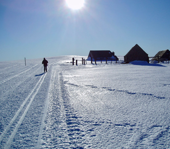 Raquettes en Aubrac - Lozère