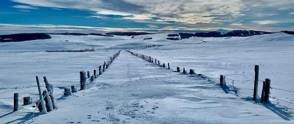 Parc naturel de l'Aubrac en hiver