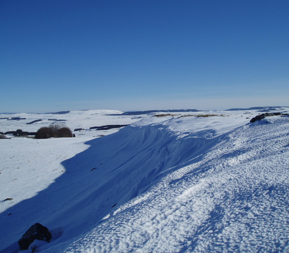 Parc naturel de l'Aubrac