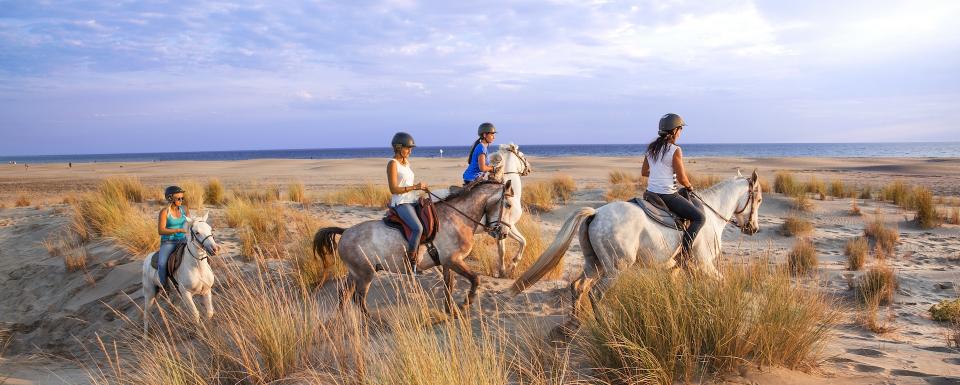 A cheval sur la plage diaporama