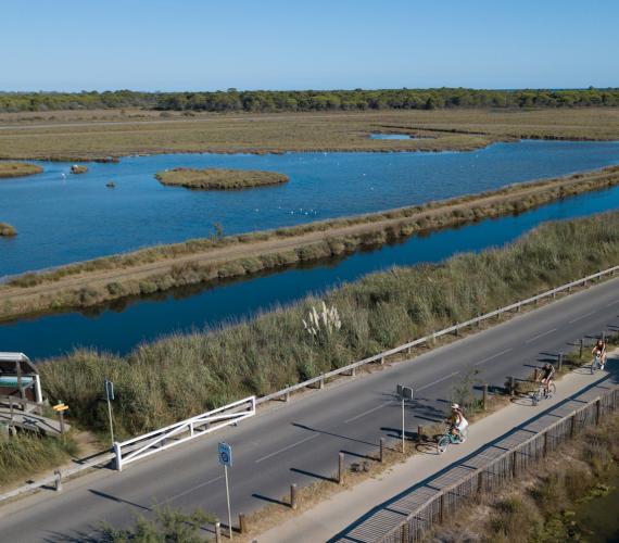 A velo en Camargue © Christelle LABRANDE