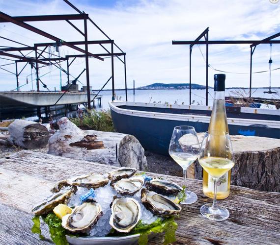 Dégustation huitres et coquillages © Atelier co