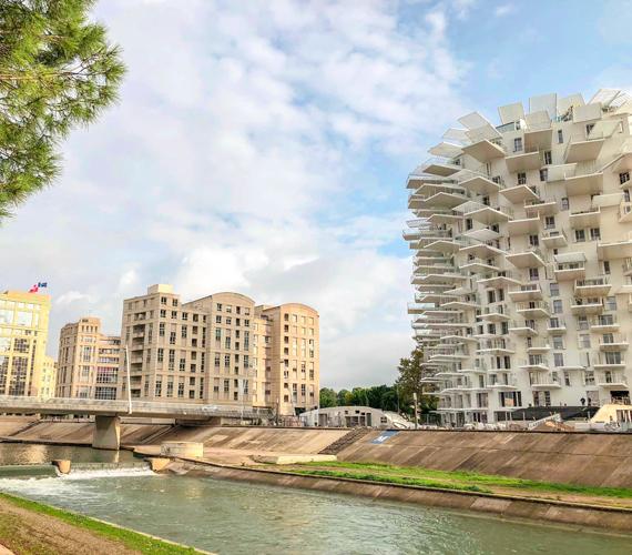 L'Arbre Blanc -Monpellier L'Arbre Blanc Monpellier