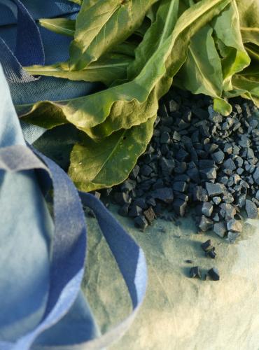 Le pastel à l'Atelier Bleu de Lectoure - Gers