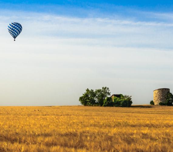 Montgolfière au dessus d'un champ de blé dans le Gers