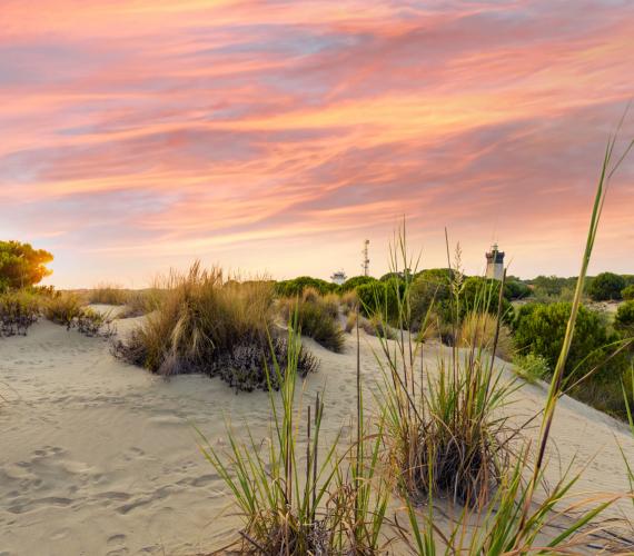 Plage de l'Espiguette © Christelle LABRANDE