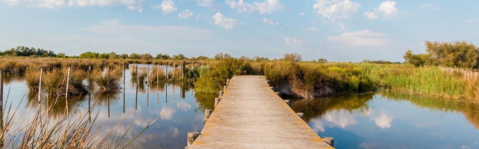 Ponton sur les étangs en Camargue panorama ©Teefarm Pixabay
