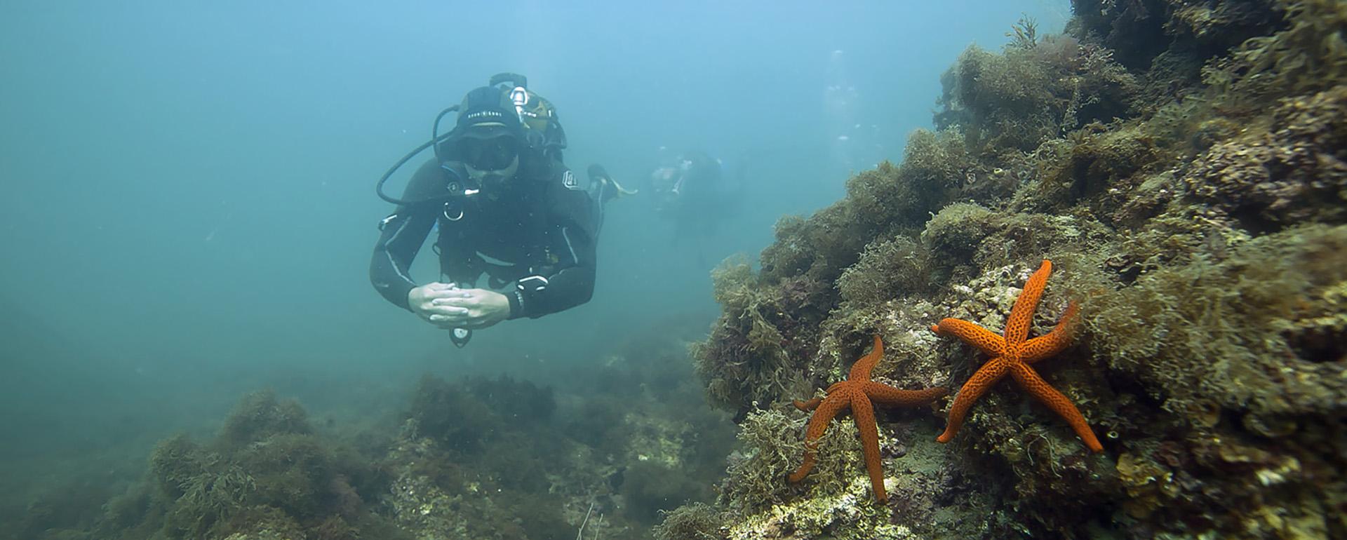 Tout un monde à explorer !