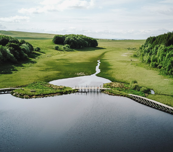 Aubrac © Staart.com