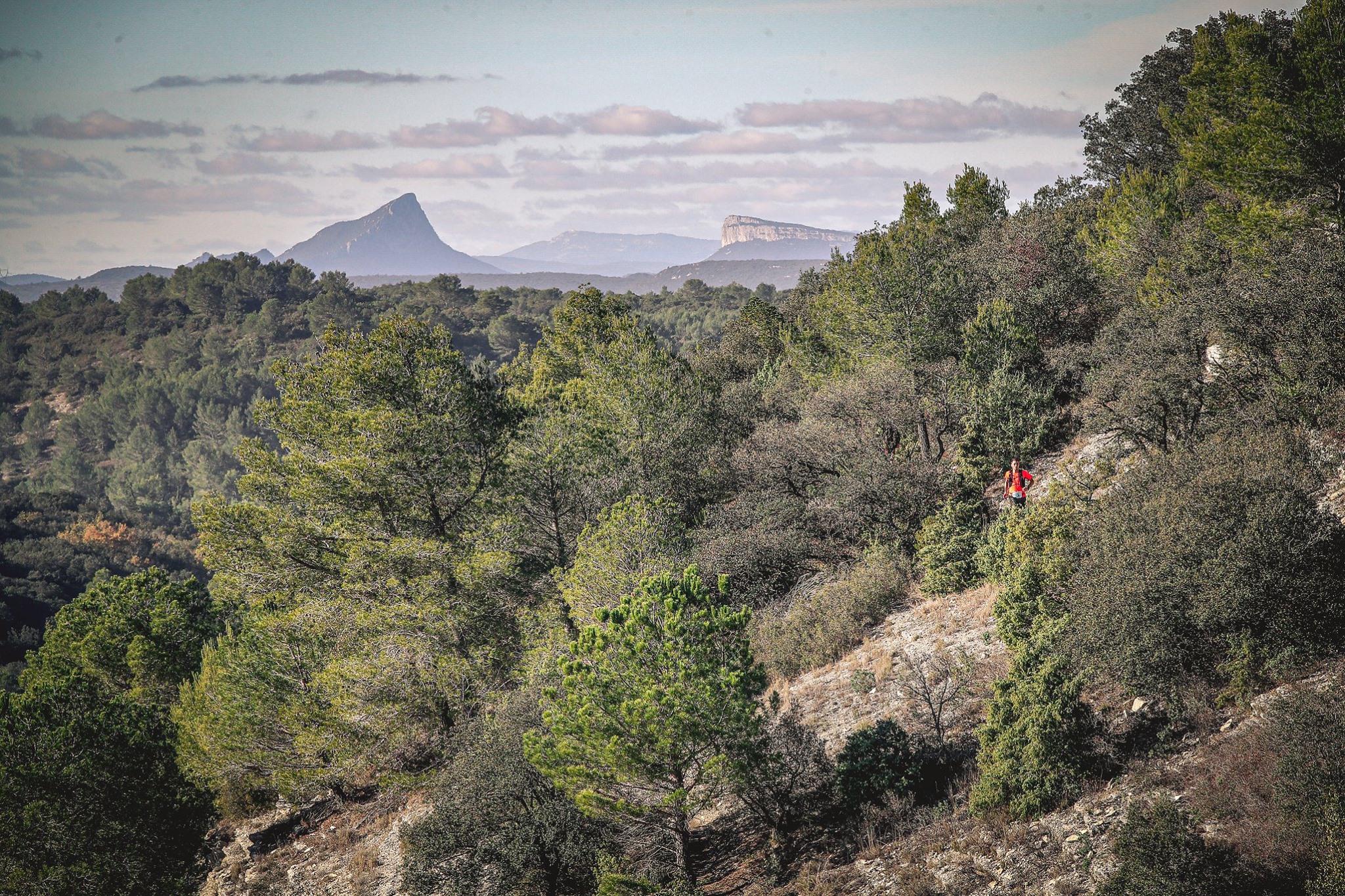 Vue sur le pic Saint-Loup @ EORA Sport Ingénierie