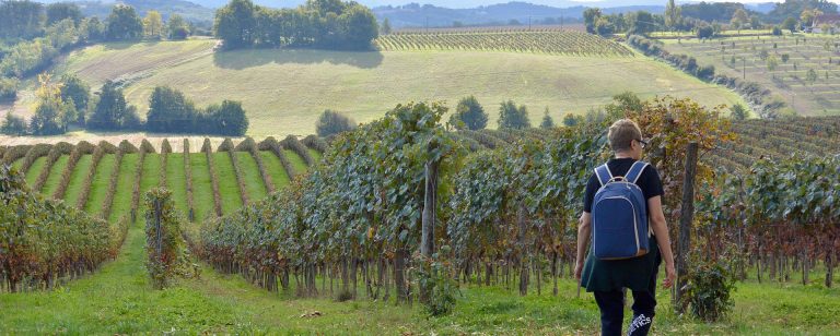 Randonneur dans les vignes Lectoure - Gers © Collection Tourisme Gers - R.Lequai