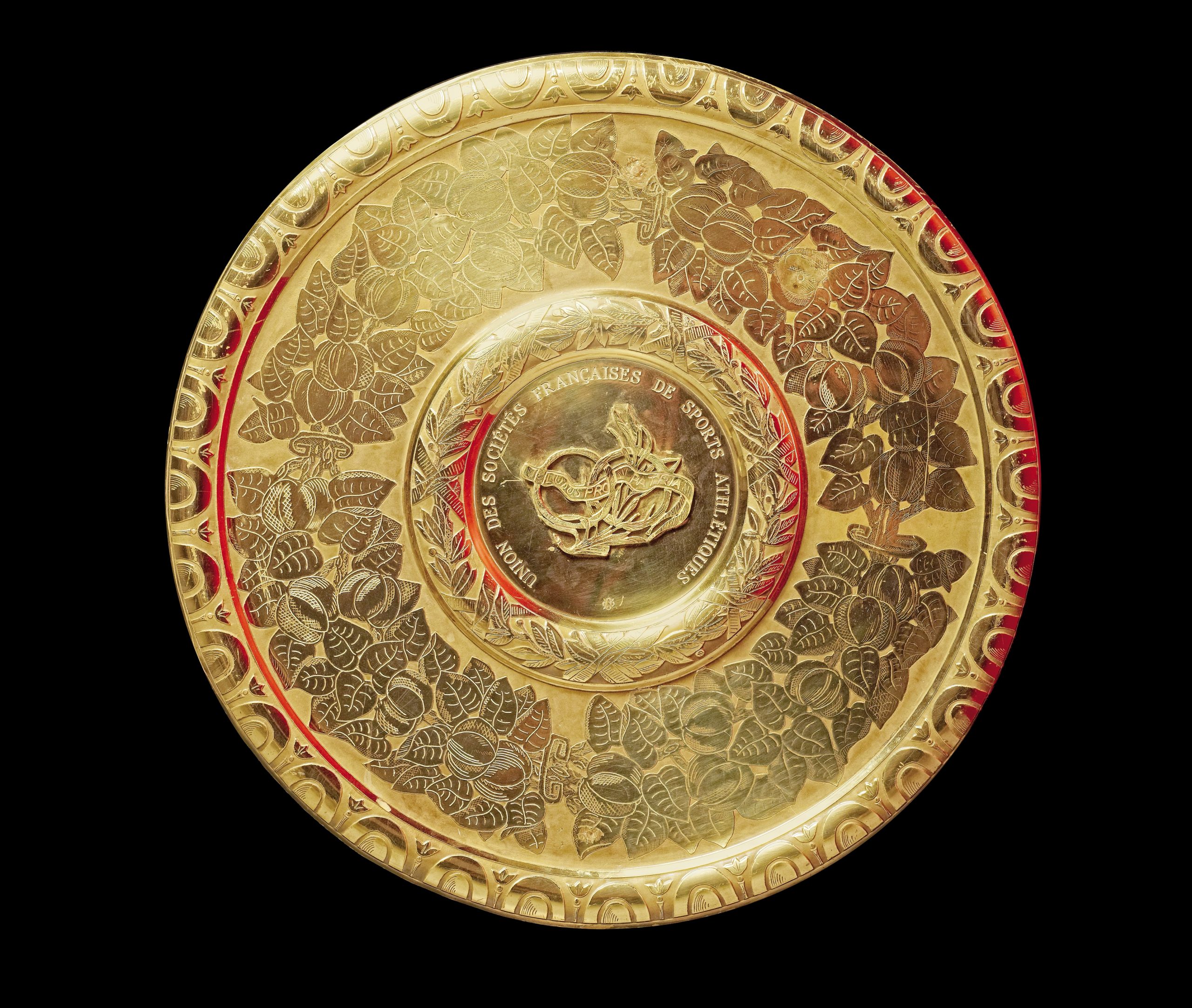 Bouclier de Brennus © D.Viet