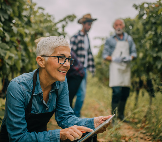 Balade dans les vignes © Istock