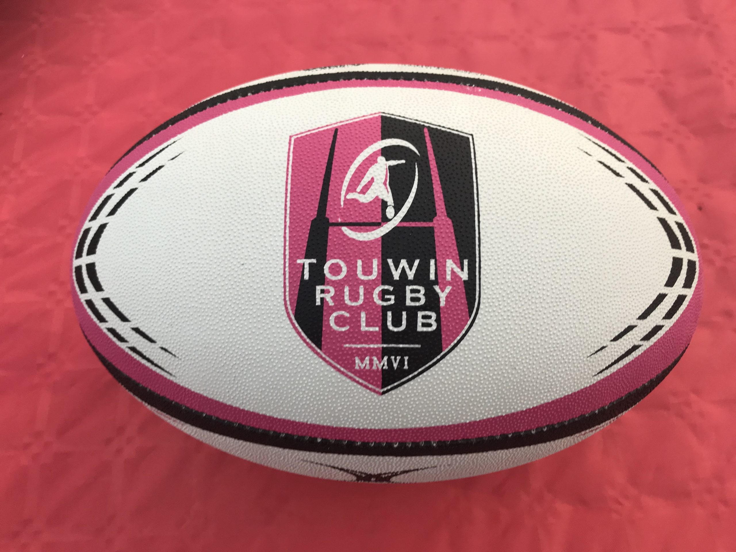 Ballon de l'équipe des Touwin de Toulouse @ PNB