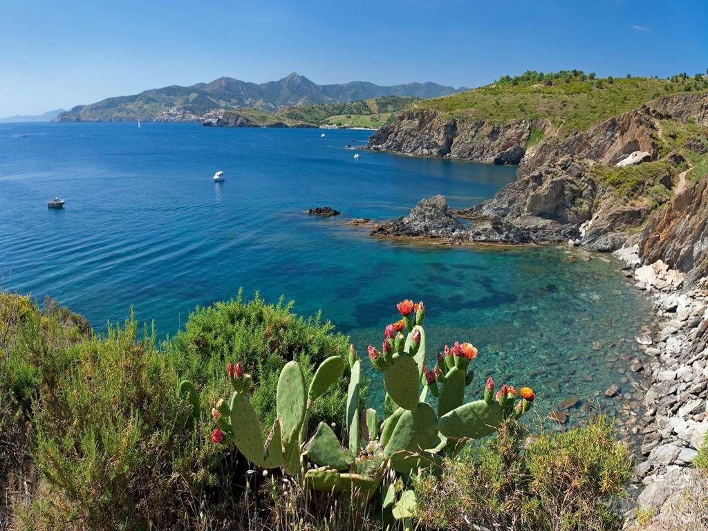 le sentier littoral de port-vendres à banyuls-sur-mer
