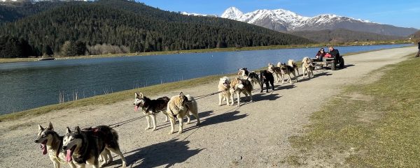 Lac de Payolle - chiens de traîneau - Hautes-Pyrénées © Attelage Altitudes