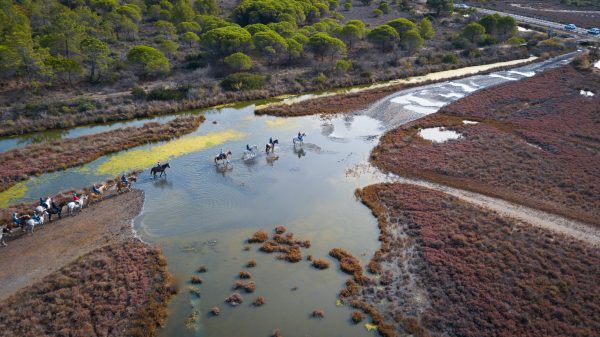Balade à cheval Camargue